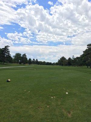 Fairway from the tee box