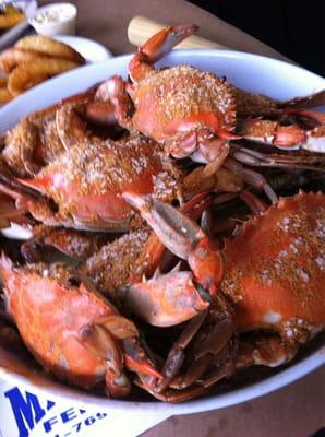 Hard shell Maryland blue crabs