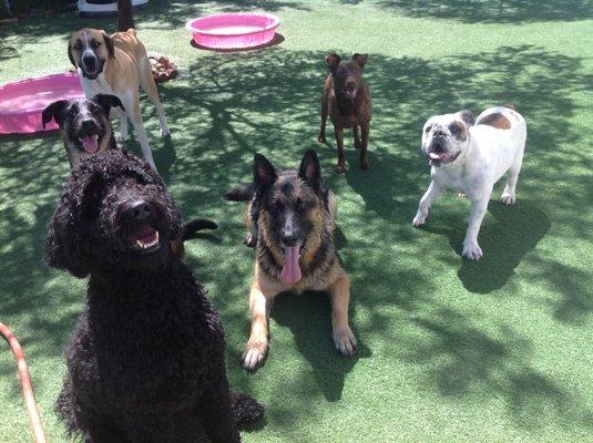 Longs Peak Animal Hospital