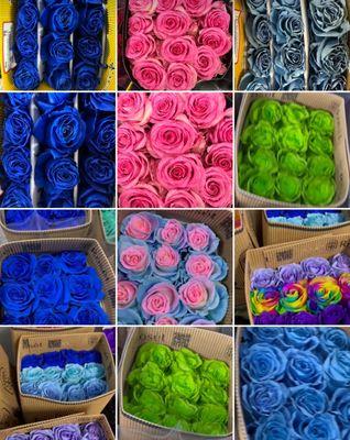 Premium roses wholesale