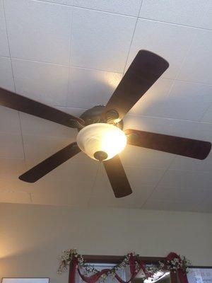 Ceiling fan