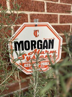 Morgan Alarms