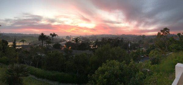 Panorama from the backyard