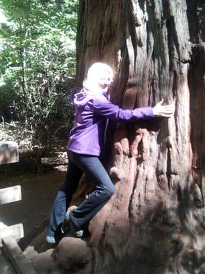 Connecting with a Redwood in Armstrong Woods