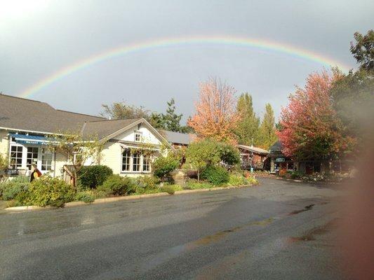 The view out of our store windows. Another pretty rainbow.