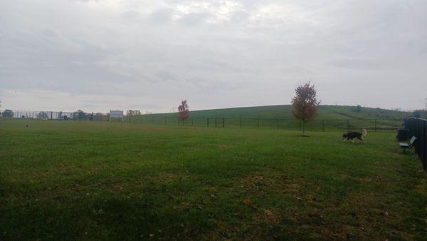 Looking back at Main Gate from Far corner of dog park