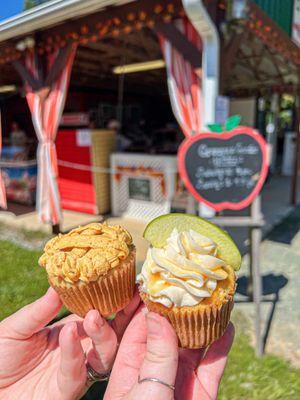 Seasonal apple cupcakes