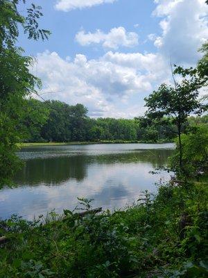 Glimpse of the lake