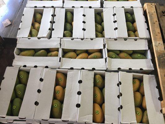 Mangoes