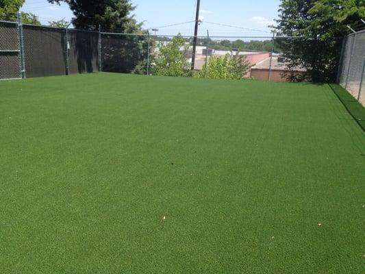 new turf in the play area allows for more sanitary waste elimination and tenderness for the paws