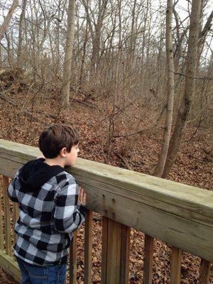 Walking trails and plenty to see...even on this crisp January day.