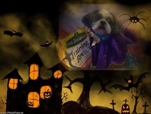 Happy Bark o Ween with lots o love Saben