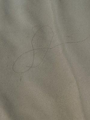 Hair that isn't mine on my comforter after it was "cleaned"!