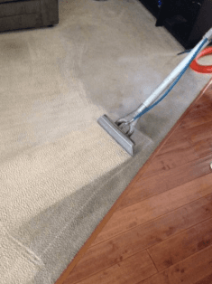 Clark County Carpet Cleaning