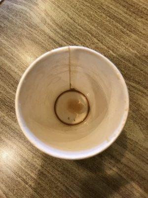 Empty Cup Review