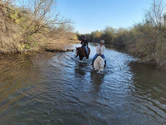 Trail ride with Desert Horse Adventures!