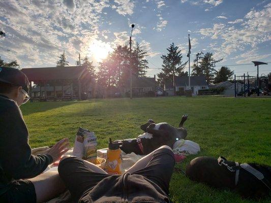 Sunbathing, snacking, and reading a book