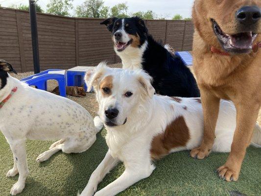 Hanging out in our outdoor daycare yards!