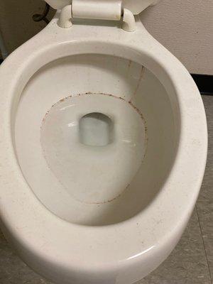 Their toilet... not cleaned in weeks....