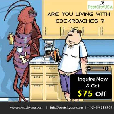 Are you living with cockroaches