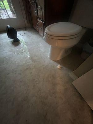 sewage pouring into our home