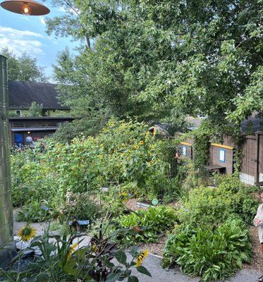 Overlooking the Sunny Point Cafe garden