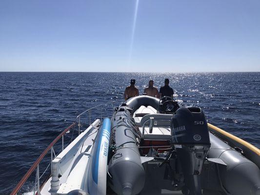 Guests on the bow looking at dolphins