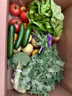 Organic fruit and vegetable box- medium