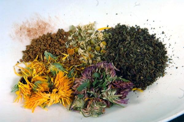 Some herbal allies