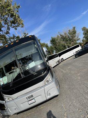 Very nice tour buses