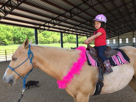 KTM, our best competition horse took a day off from being a Pro Division horse to be a little girl's dream come true.