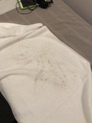 "Clean" towel I was provided with