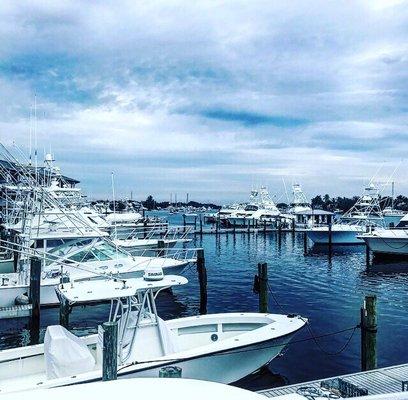 View of Marina from our Office the Houseboat!!