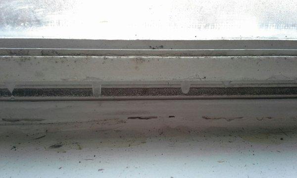 Constant mold growing. Now icicles forming on the inside of window. 12*26*2017