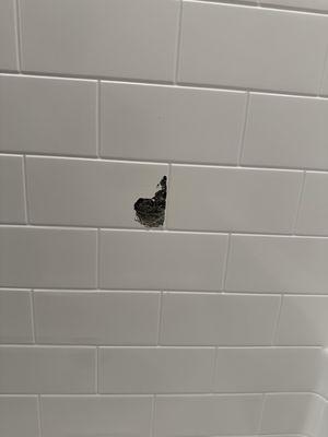 Hole in shower surround