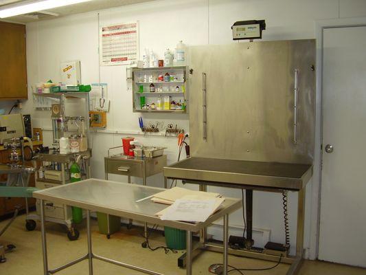 Treatment area