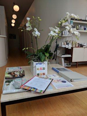 Waiting area. Room filled with lovely plants and orchids.