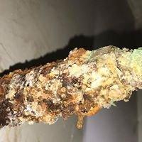 Corroded water pipe