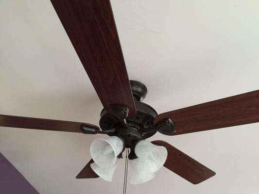 My fan from a different angle