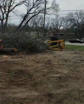 Mayfield's Tree Service provides versatile skid steer work to handle a variety of land management and clearing needs...