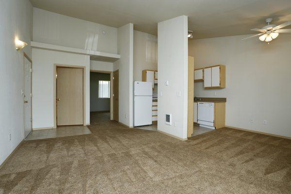 1 bedroom, 1 bathroom APT ~ View of living room / kitchen