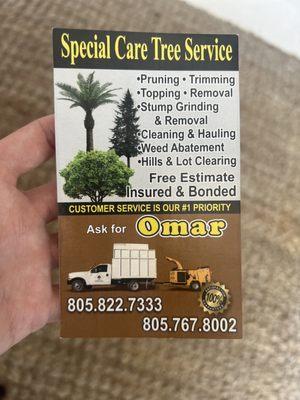 Special Care Tree Service