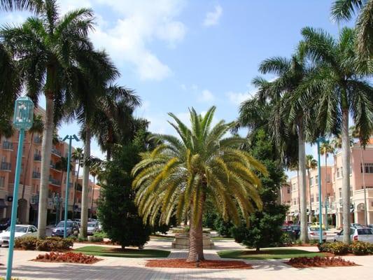 Mizner Park/Boca Raton Real Estate