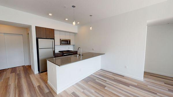 Open concept kitchens with minimalist pendant lighting, quartz countertops, and modern cabinetry