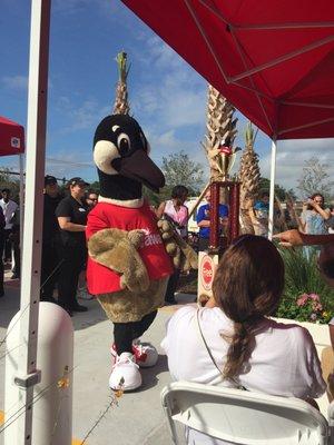 Wawa grand opening - it's the mascot