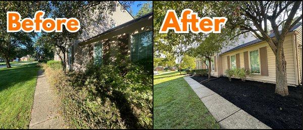 removed all the weeds/weed barrier and mulch