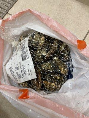 30 Pacific oysters $28