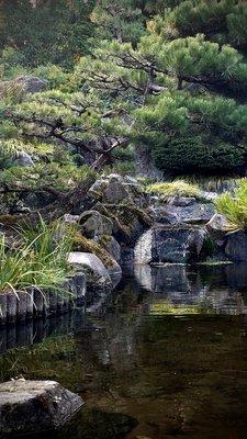 Japanese Garden