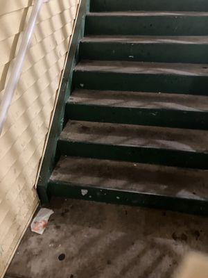 Stairs... Full of trash and filthy