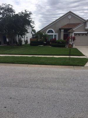 Front view of Yard of the Month! Once again, congratulations Steven and Adarius!